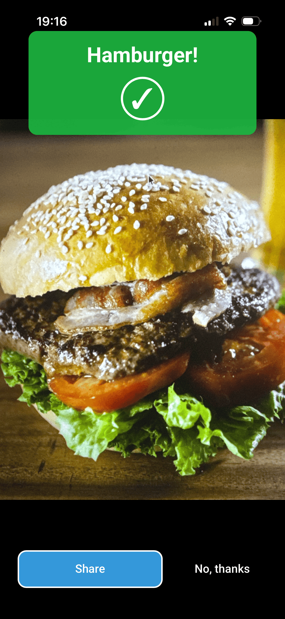 Niet hamburger - Is het een hamburger of niet! media 2