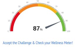 My Wellness Meter media 2