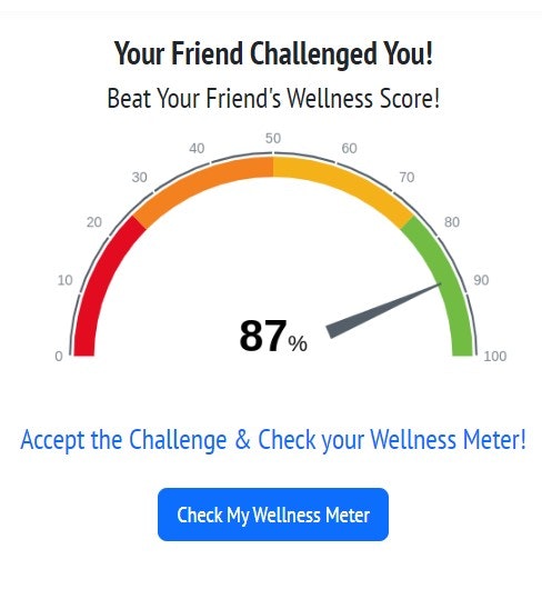 Mein Wellness -Messgerät - Holen Sie sich Ihre Wellness -Bewertung für den Tag auf einem Messgerät Medien 2