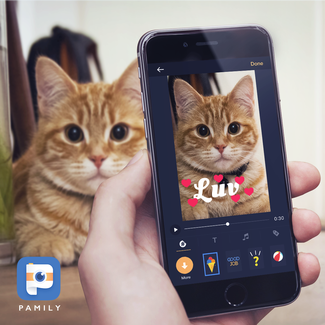 Pamily gallery image