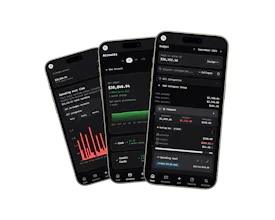 Budgero gallery image