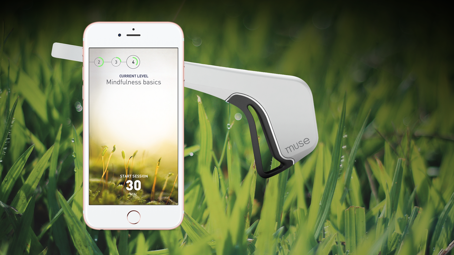 Blooming gallery image