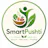 SmartPushti