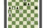 ChessNuts image