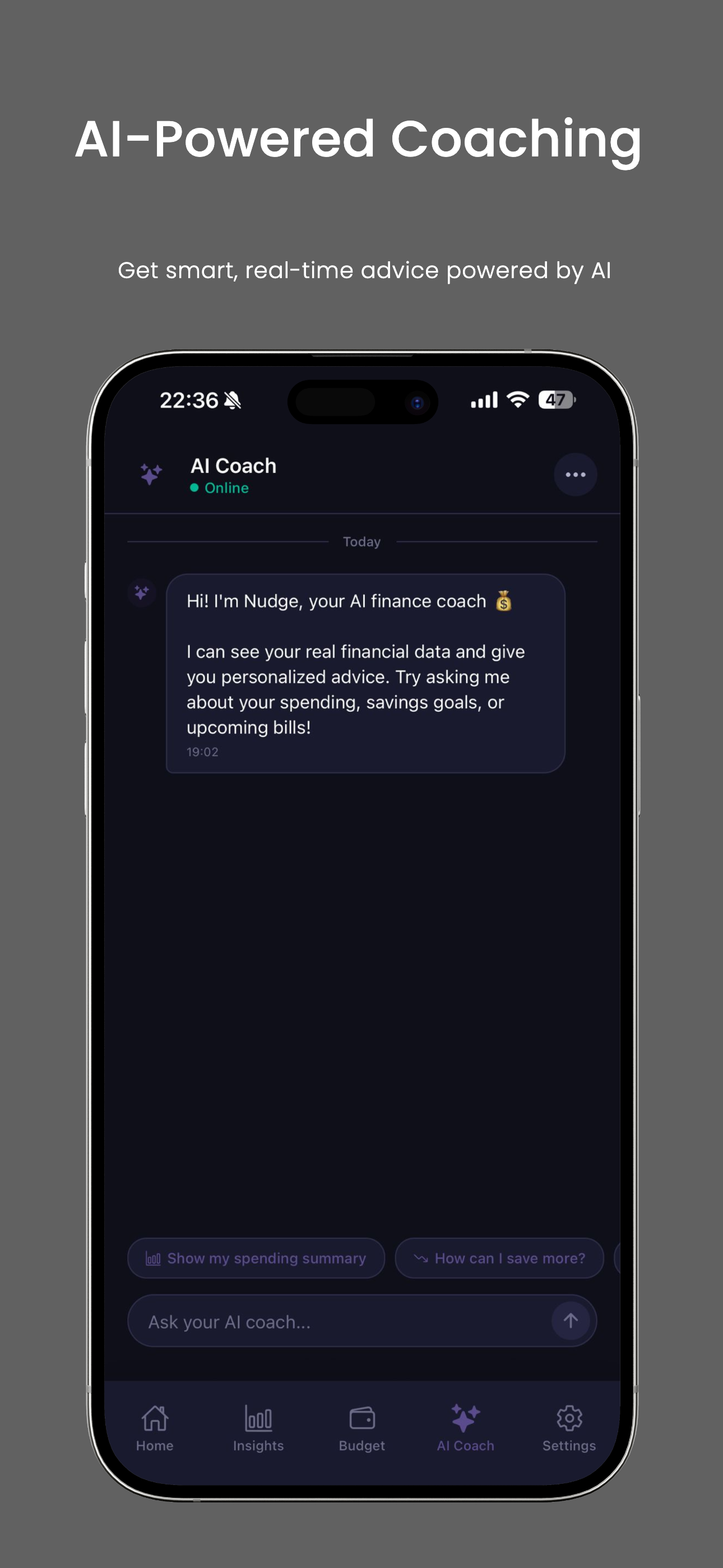 Nudge: AI Finance Tracker gallery image
