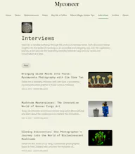 Myconeer gallery image