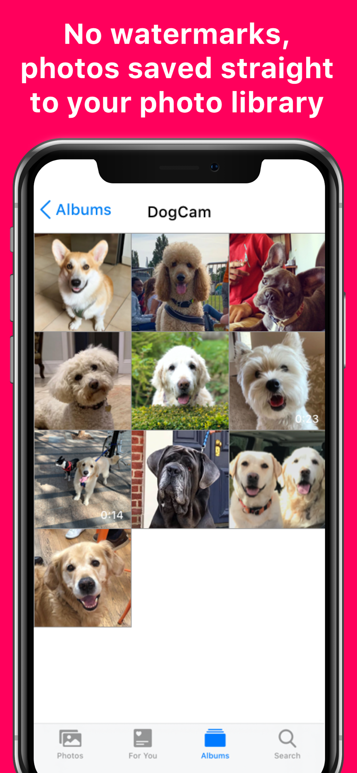 DogCam - Dog Selfie Camera gallery image