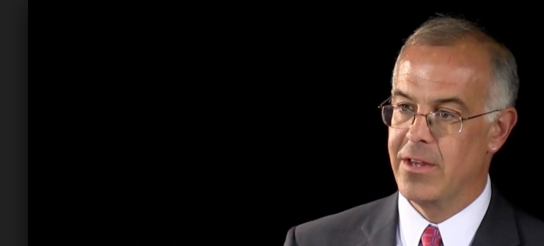 The Social Animal gallery image