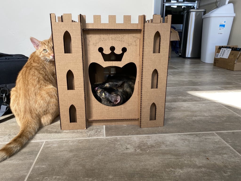 Cardboard Cat Homes gallery image