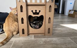 Cardboard Cat Homes media 2