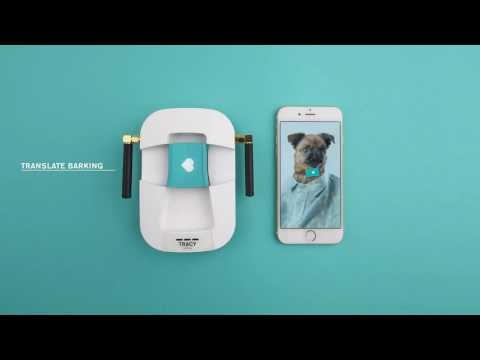 Tracy Trackers gallery image