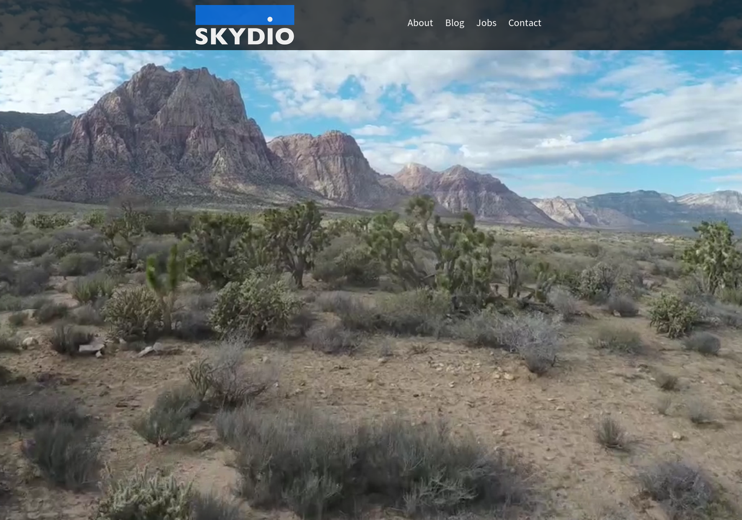 Skydio