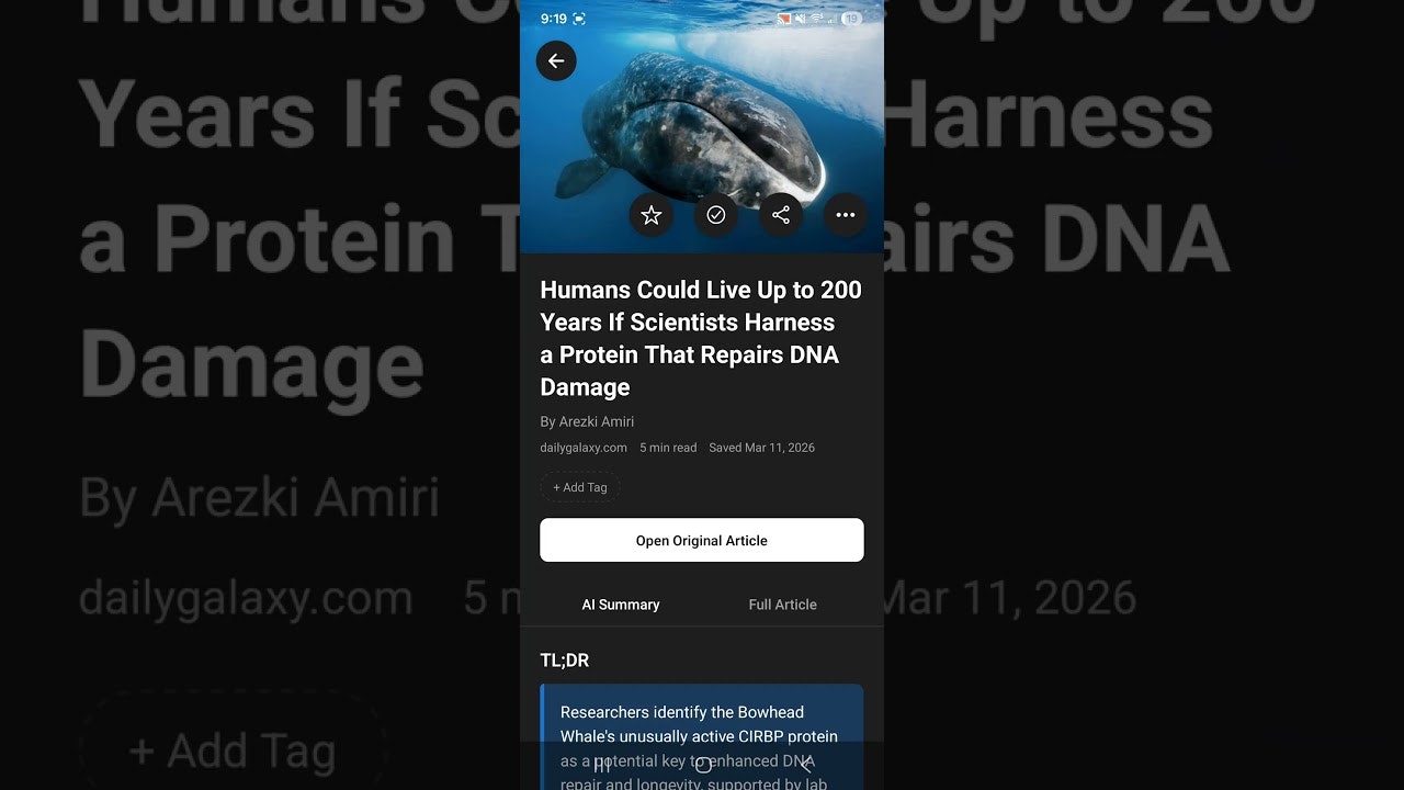 Gistory gallery image