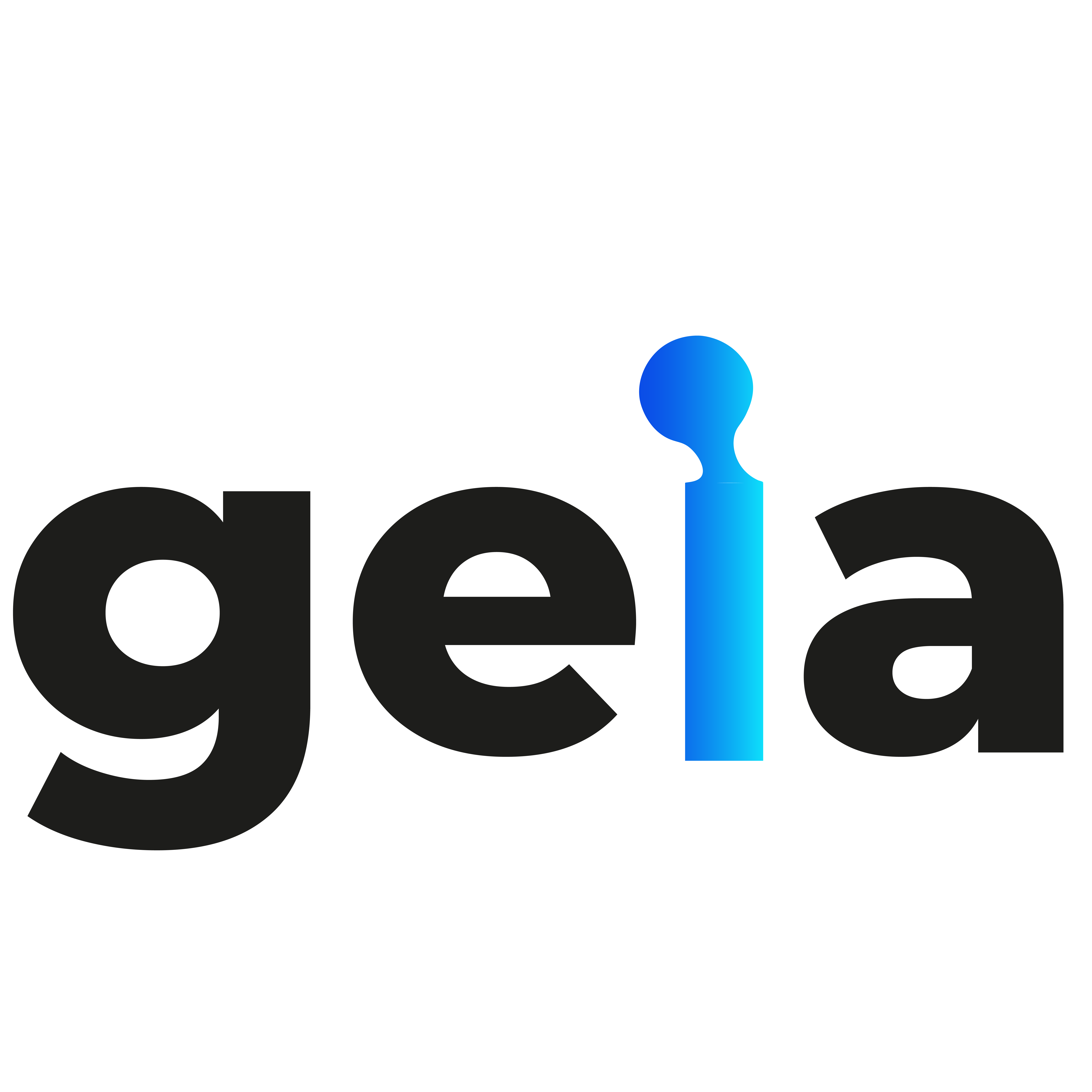 Geia Medical Assistant