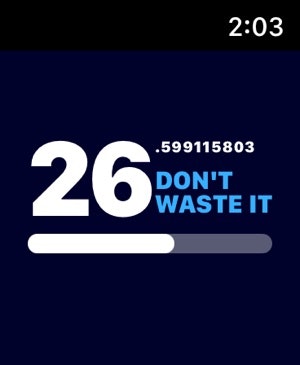 DON'T WASTE IT gallery image