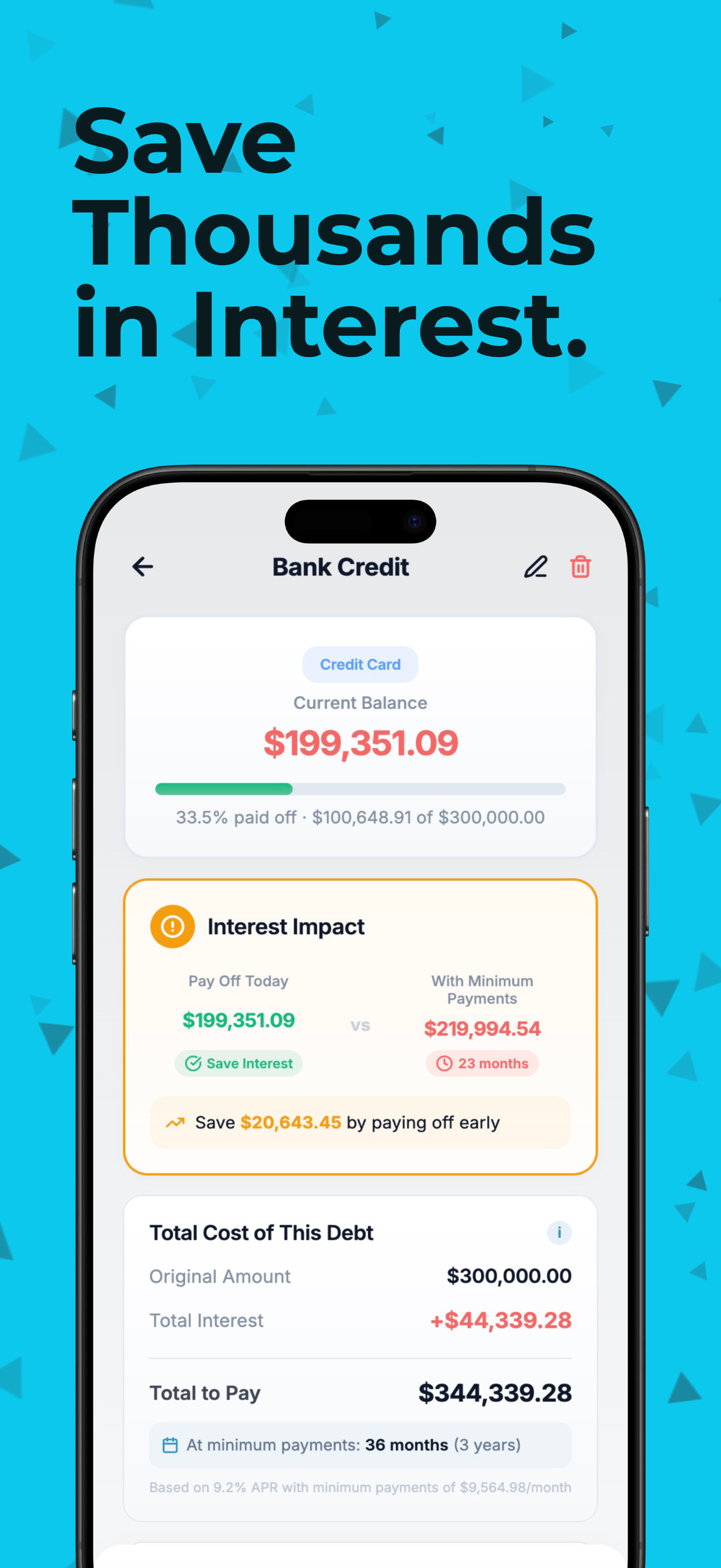 TinyDebt - Screenshot 4 showing product features and functionality