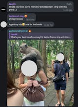 Sparkk gallery image