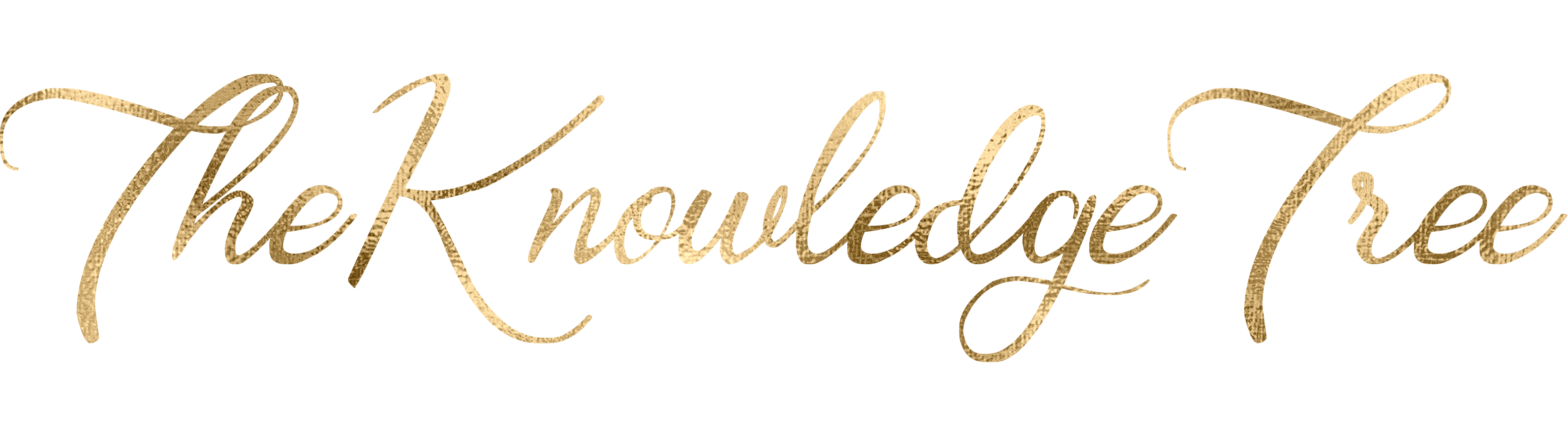 KnowledgeTree gallery image