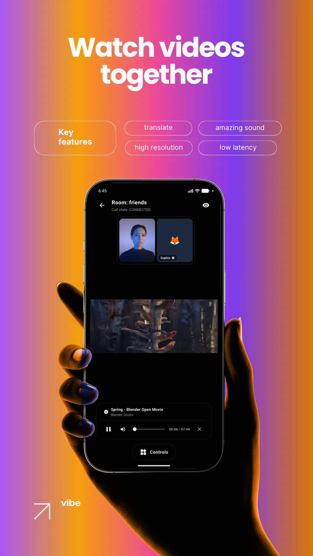 vibe gallery image