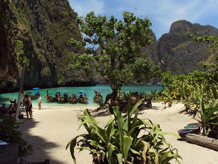 João Gonzalez cover