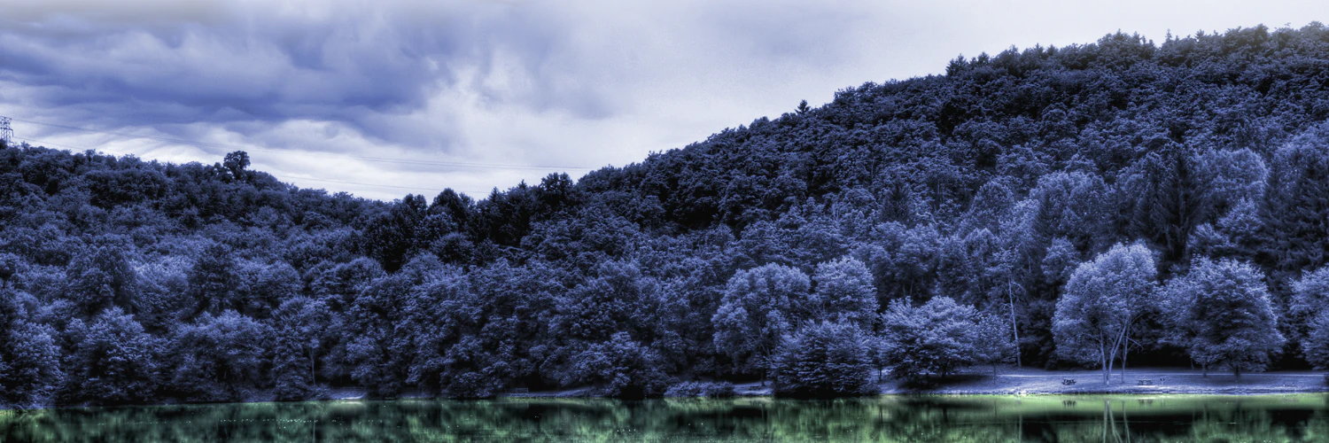 Mario Fraiß-Kollmanitsch cover