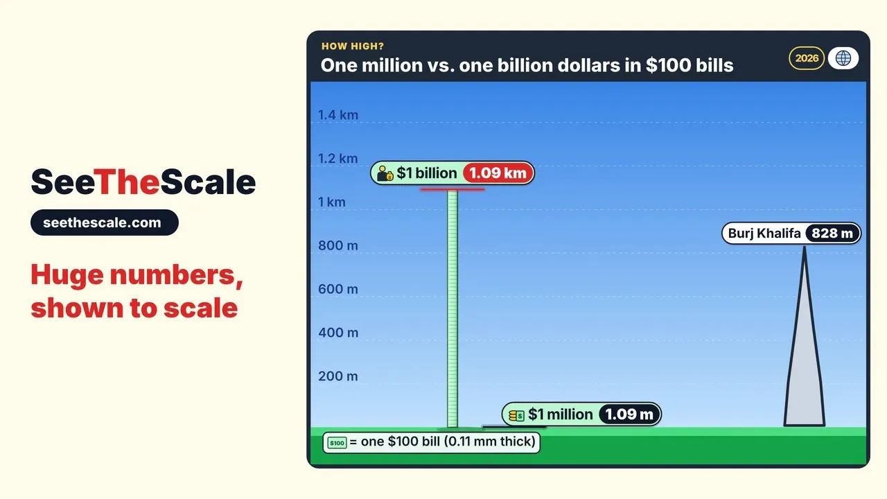 SeeTheScale gallery image
