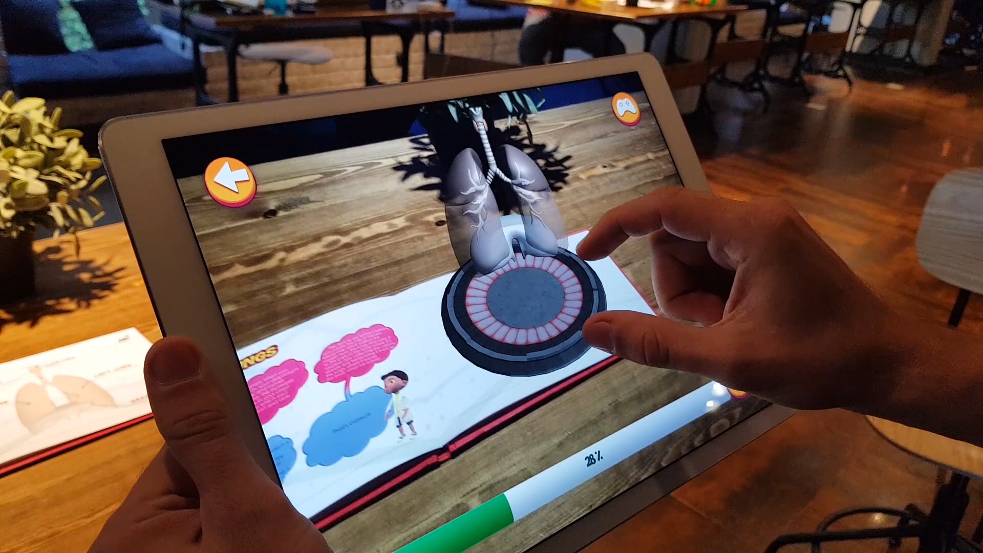 Imagina Books: The Human Body gallery image