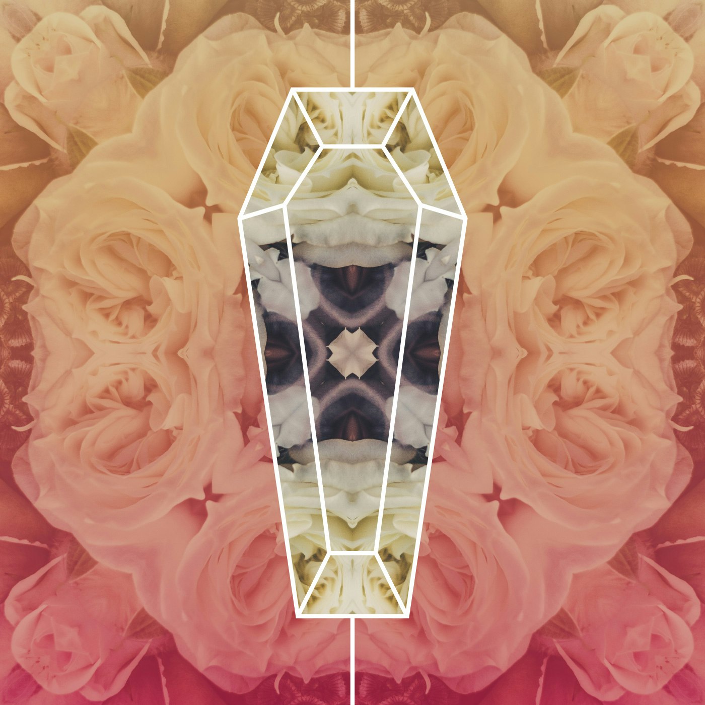 The Kerfuffle - Death in the time of Facebook