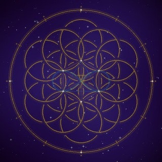 Telegram gallery image