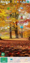 Natural Ai app Beta launch gallery image