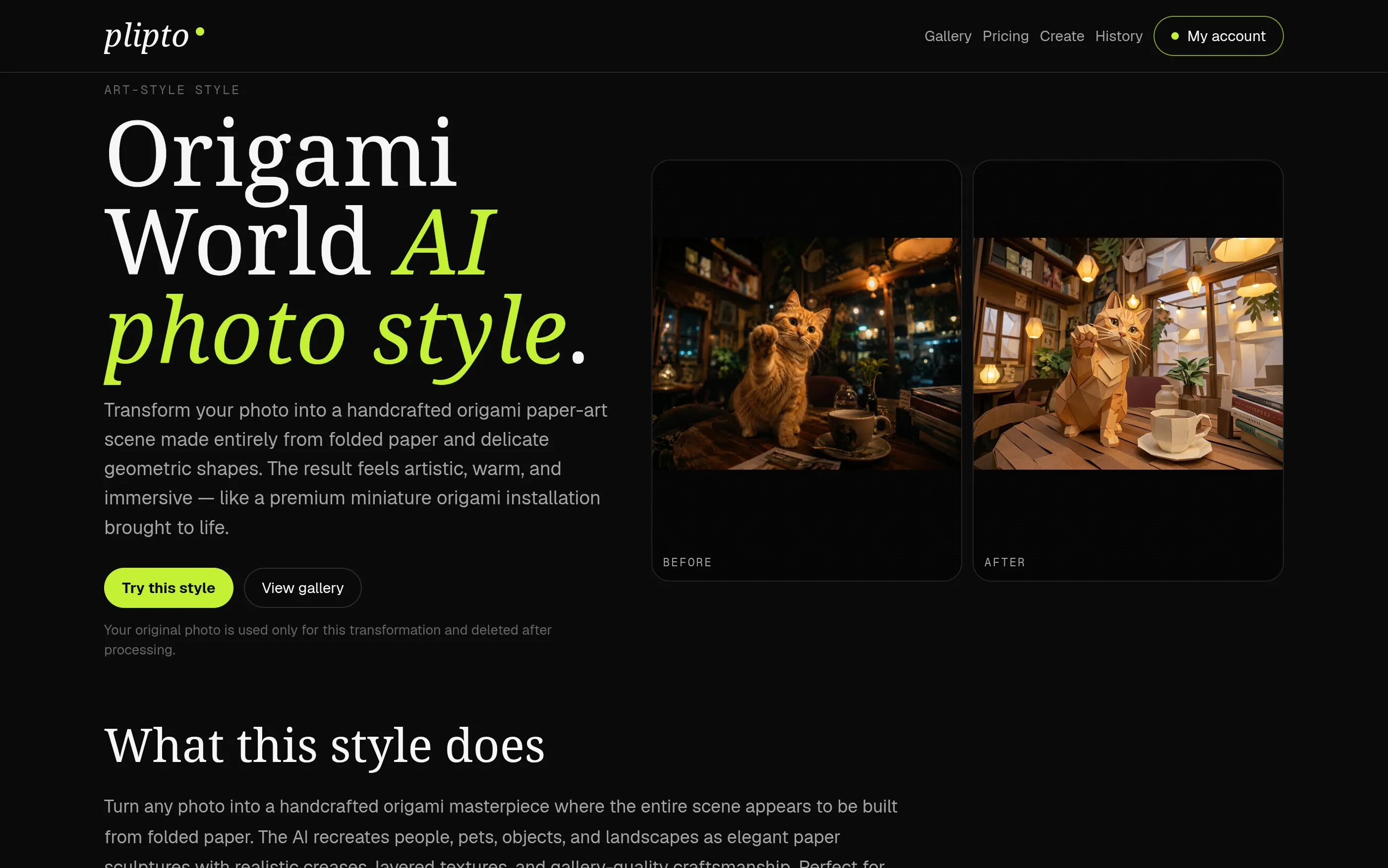 plipto gallery image