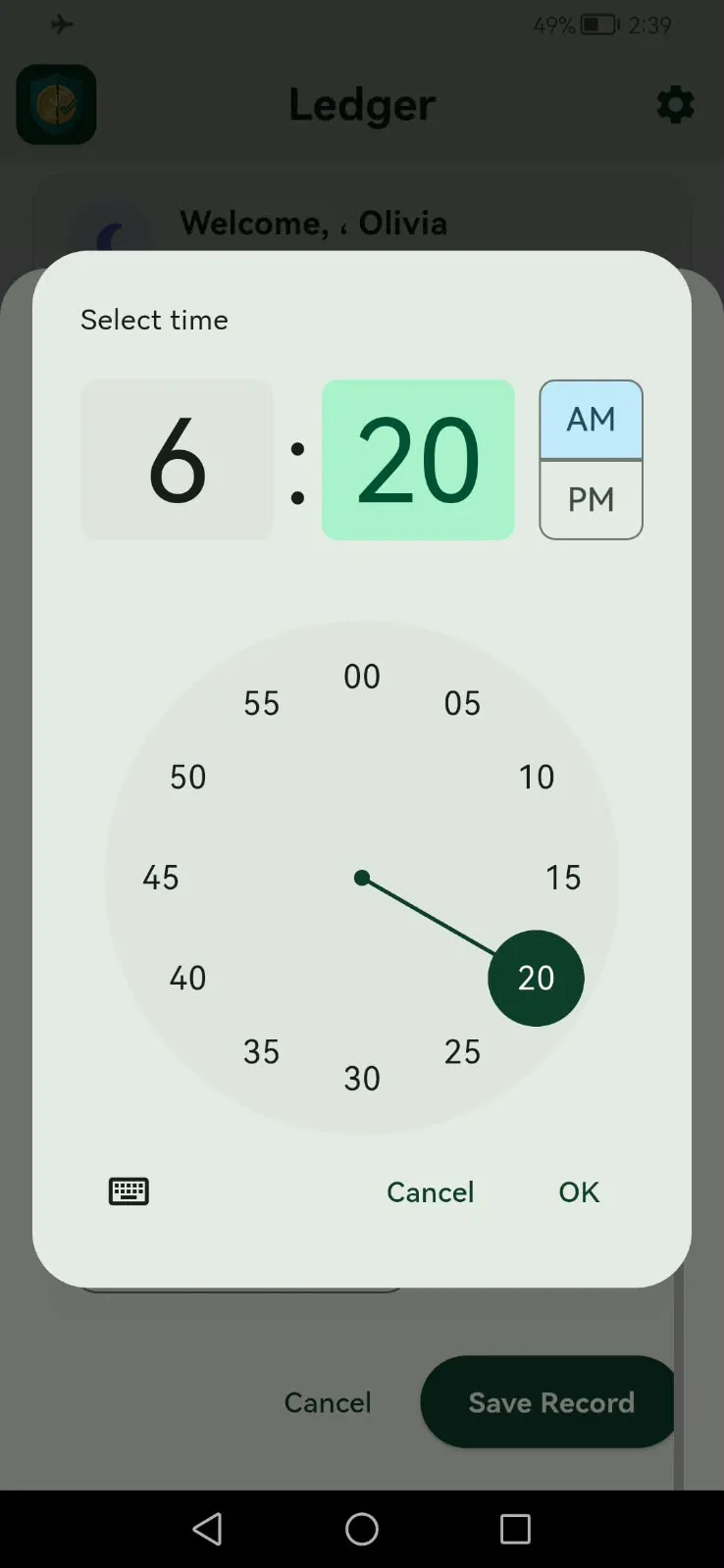 Ledger: Budget & Routine gallery image