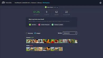 Brain Builder gallery image