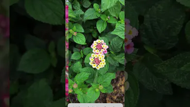 Digital Photo Frame | Ufumbuzi gallery image