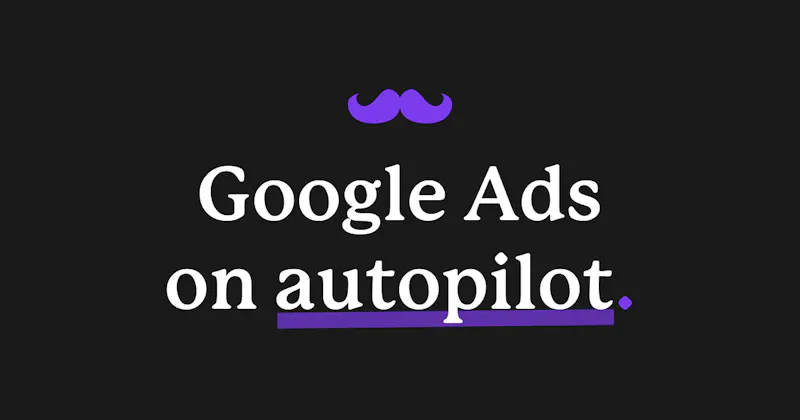 Roger • The Google Ads AI Agent screenshot 1
