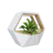 Bee Leaf Planter