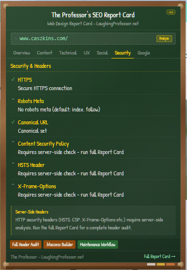The Professor's Web Design Report Card gallery image
