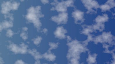 Petite Patterns gallery image