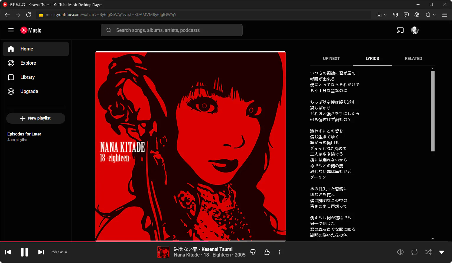 YouTube Music Desktop Player gallery image