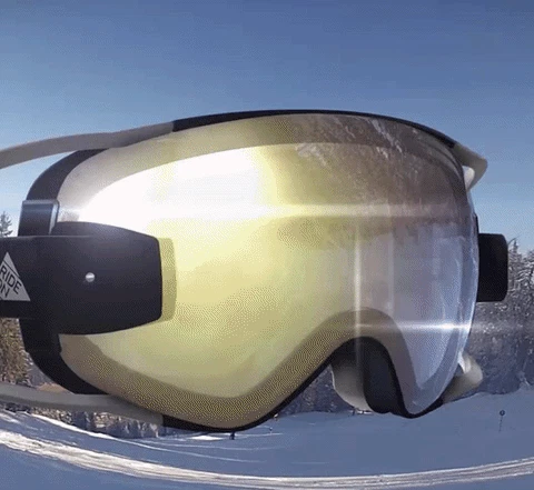 RideOn Ski Goggles Image