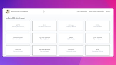 Mushrooms That Are Good For You gallery image