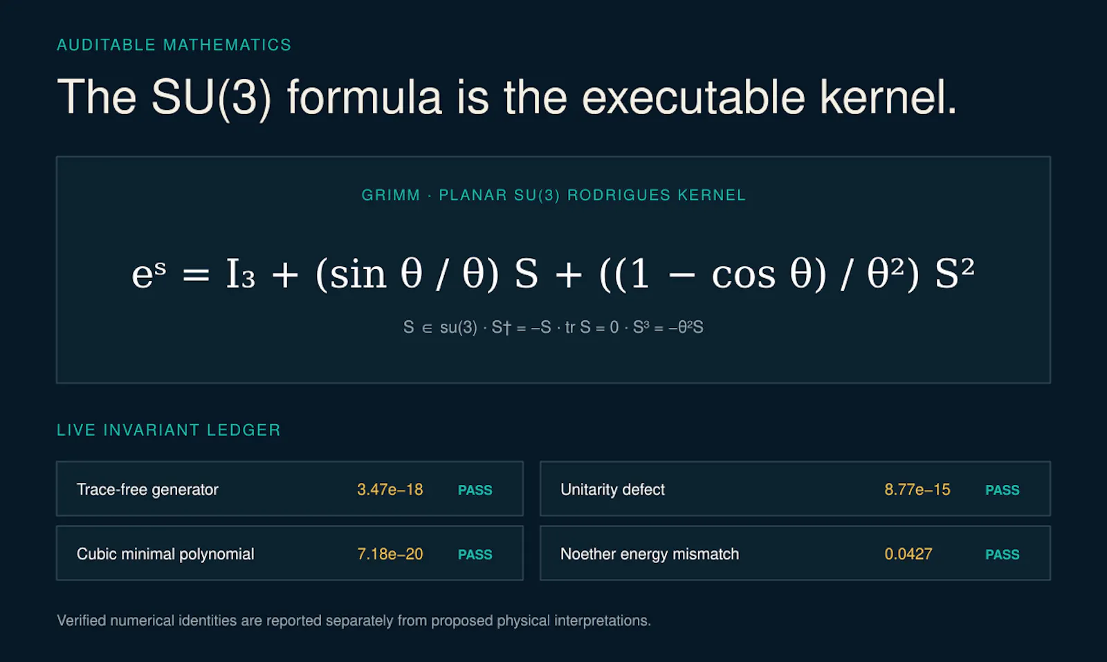 BraidForge SU(3) screenshot 3