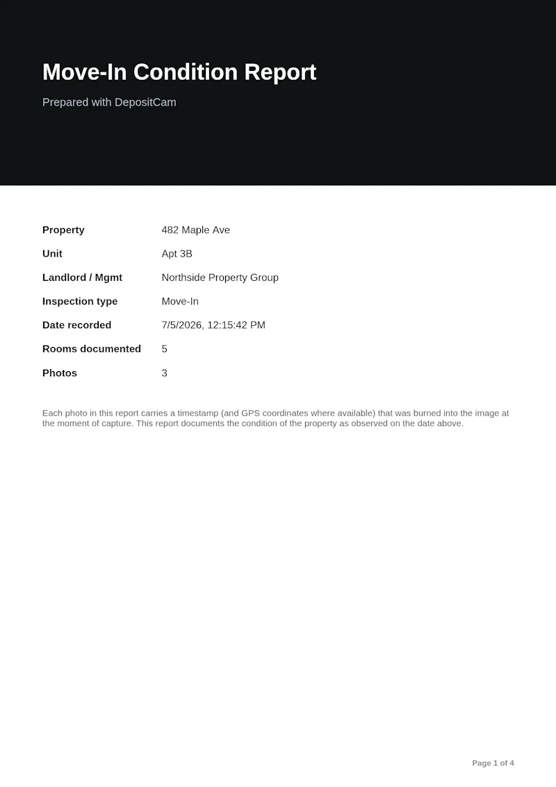 DepositCam screenshot 4