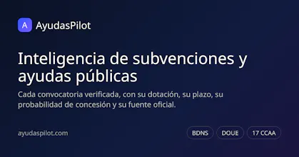AyudasPilot gallery image