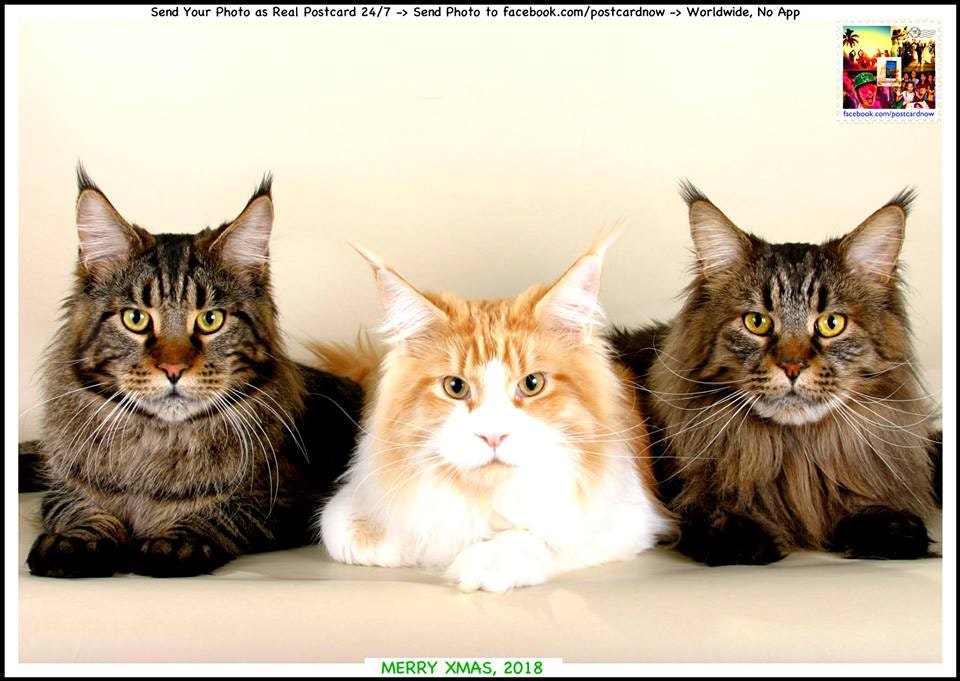 Postcard Now gallery image