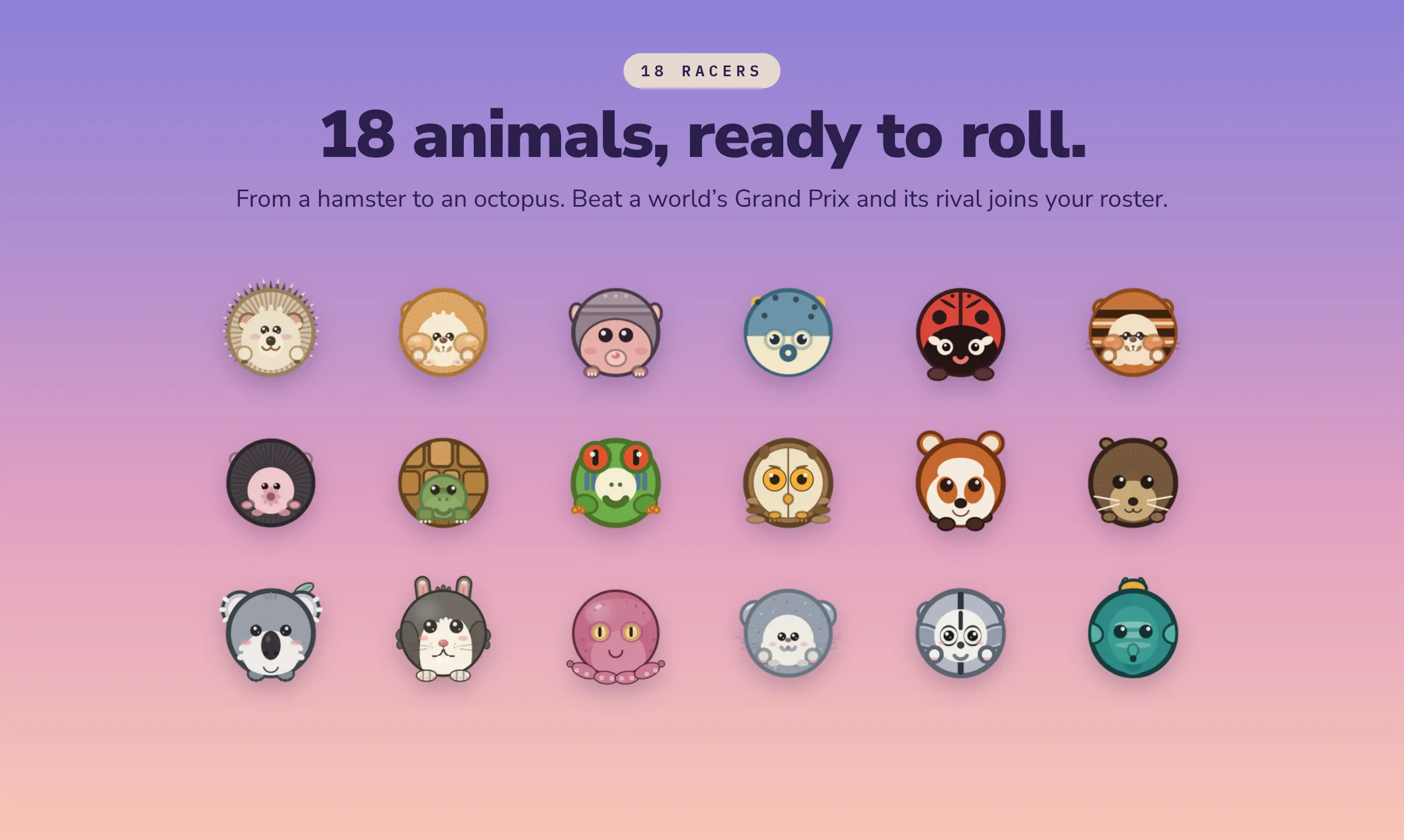 Animal Loop gallery image
