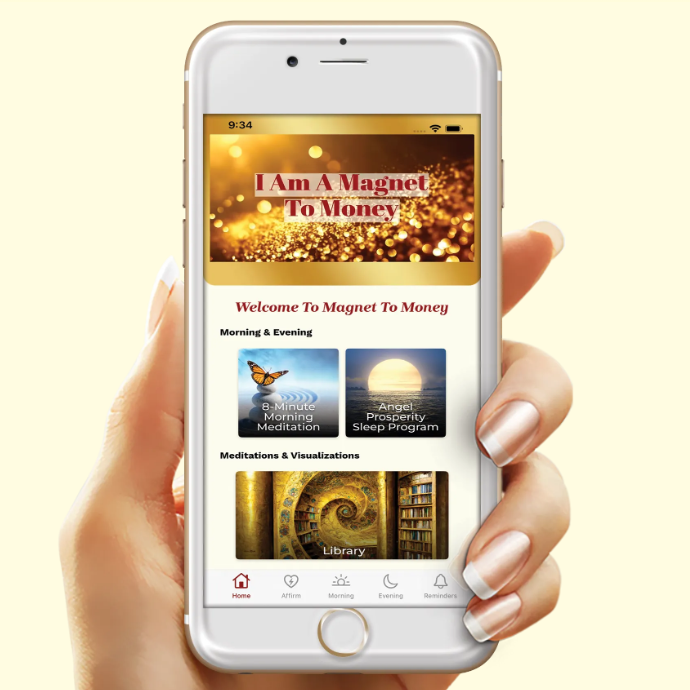 The Magnet To Money App