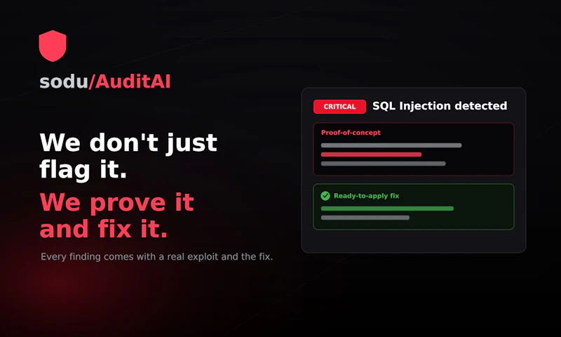Sodu /AuditAi screenshot 3