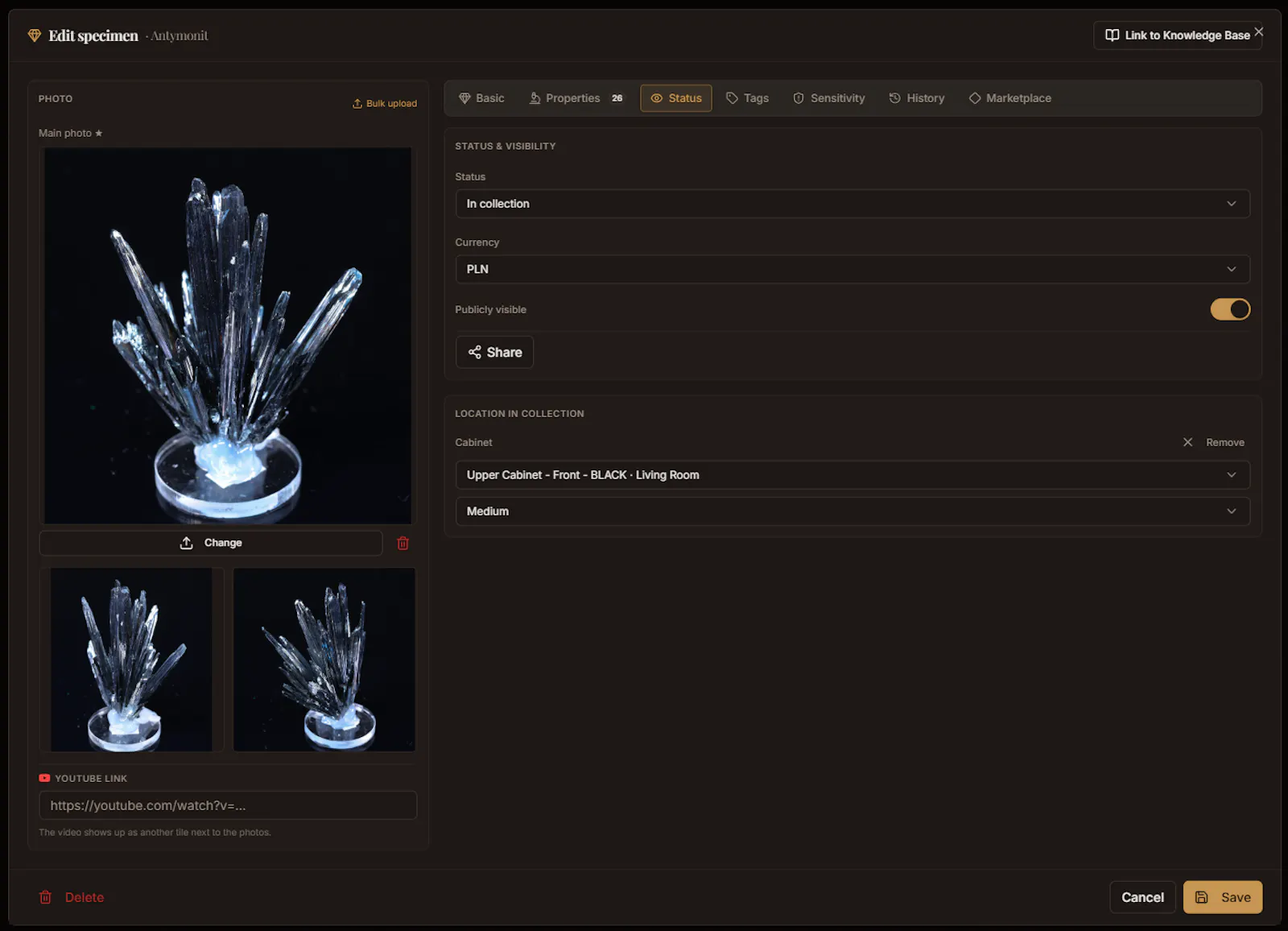 Collector's Panel by Cabinet No. 40 screenshot 24