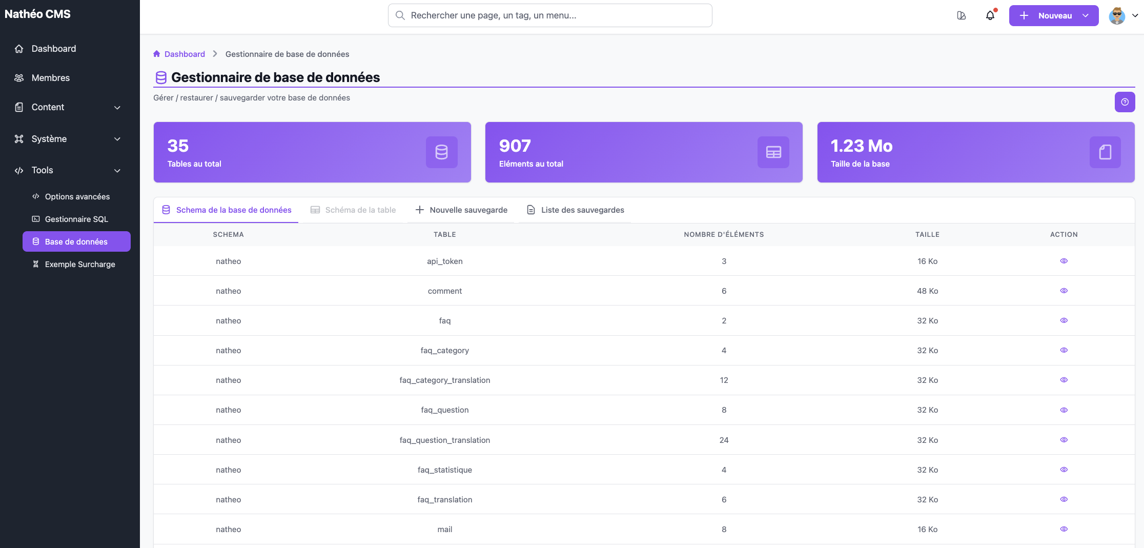 NatheoCMS - Screenshot 2 showing product features and functionality